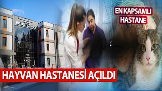 Hayvan  Hastanesi Açıldı | Yılda 50 Bin Hayvan Muayene Edilecek