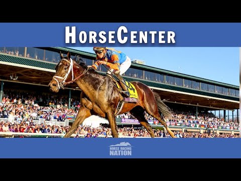 2022 Louisiana Champions Day Classic Odds and Picks 2 hqdefault