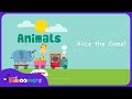 Animal Songs For Kids Best Animals Songs For Children The Kiboomers