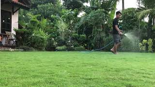 Download lagu Cara merawat dan memupuk rumput Jepang biar bisa tumbuh subur dan indah mp3