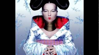 Björk - All Neon Like - Homogenic