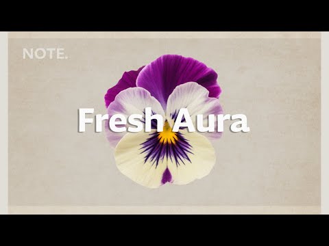 Fresh Aura | Chill House for a Positive Morning Vibe