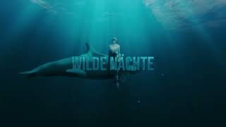 Sarah Connor - Wilde Nächte (Offizieller Visualizer)