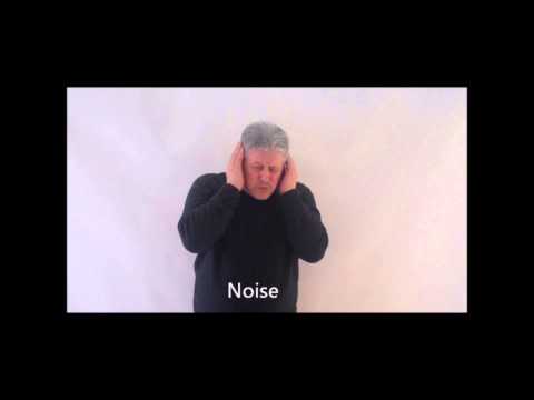 America Sign Language, Iconicity Signs, Visual signs for beginner step by step 2015