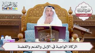 [641] الزكاة الواجبة في الإبل والغنم والفضة - عثمان الخميس