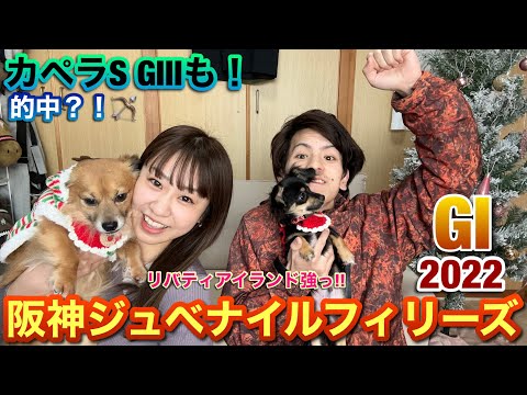 阪神ジュベナイルフィリーズ2022🏇～連続的中なるか🎯