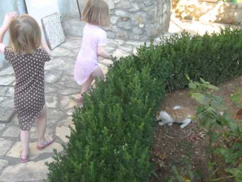 kids and kitten
