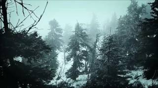 Nargaroth - Amarok   Zorn Des Lammes III