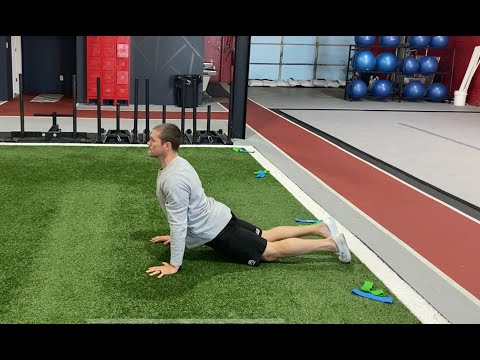 Walkout to Cobra/Downward Dog to OH Reach