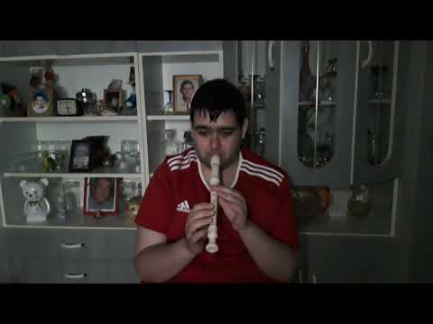Sárközi Róbert - This love (Maroon 5) Recorder cover
