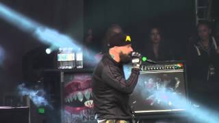 Limp Bizkit LIVE Why Try Hamburg, Germany, Stadtpark 24.06.2014 FULLHD