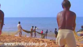 Fishermen in a joint effort at Shankhumugham