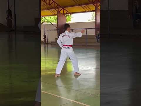 Taekwondo indiara-goias, primeiro exame de faixas Coloridas 2026,atleta José Luiz Cedrim Franco