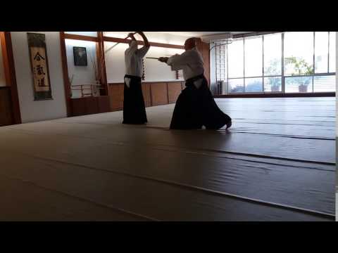 Shane Riley Shihan (7th Dan) and Sensei Paul Derrick (6th Dan) - 7th Bokken Awase  (1)