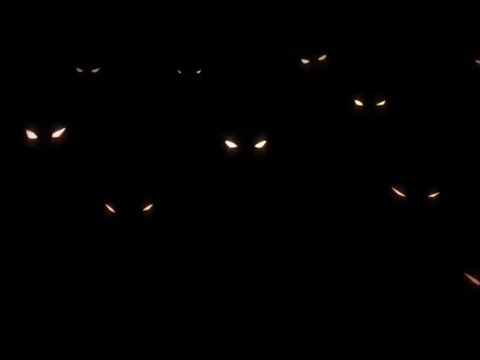 100-man no Inochi wa Tatteiru Temporada 1 completo en español latino