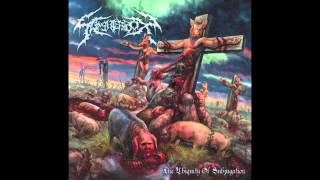 Slaughterbox - Arrogance and The Loss Of Human Dignity (ALBUM VERSION)