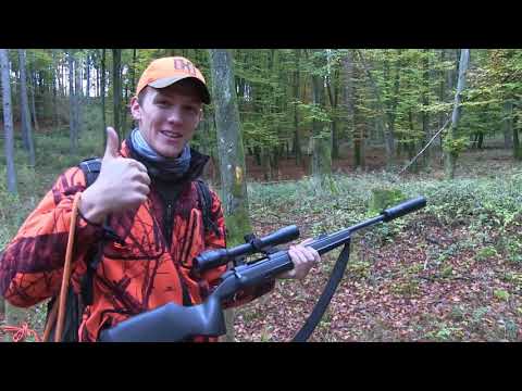 Drückjagd bei Huntingroom - Hunter Brothers