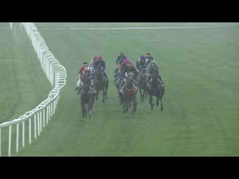 2017.08.06. 8. futam - MAGYAR KANCADÍJ (HUN Gd-2)