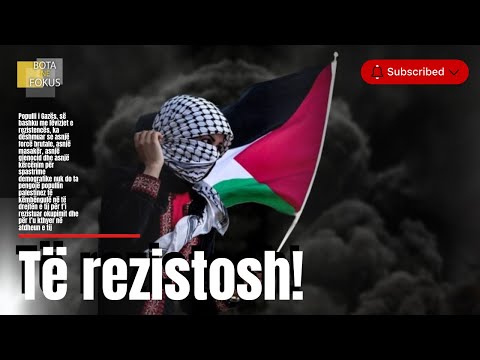 BOTA NË FOKUS | Nga Gaza në Bregun Perëndimor, si mbijeton rezistenca?
