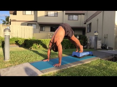 Day 103 Home Workout in Hawaii - Pike Push Ups - August 19, 2020 6:15 pm