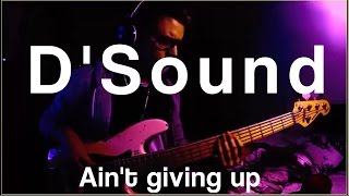 D&#39;Sound - Ain&#39;t giving up (Bass Cover)