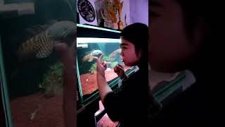 Download lagu CHANNA AURANTI JUMBO GALAK‼️ KEBAYANG KALO TANGAN DIMASUKIN mp3 Download lagu CHANNA AURANTI JUMBO GALAK‼️ KEBAYANG KALO TANGAN DIMASUKIN mp3