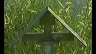 Афганистан-кукушка