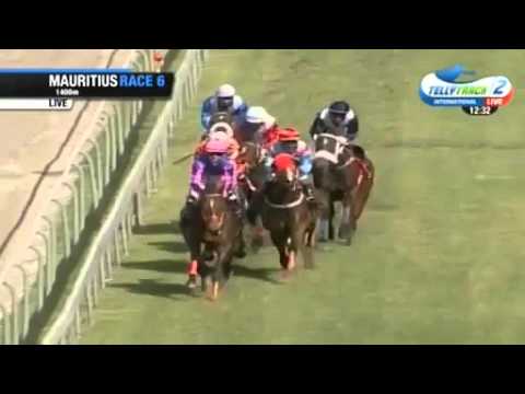 2016.03.26 The Noble Salute Cup (MRI) - Casey's War