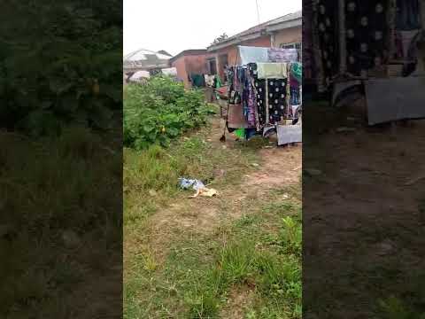 Dry Half Plot of Land for Sale – Isheri Oshun (After Police Station), Lagos