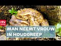 Hitsige padden worden een handje geholpen | ROEG! | RTV Drenthe