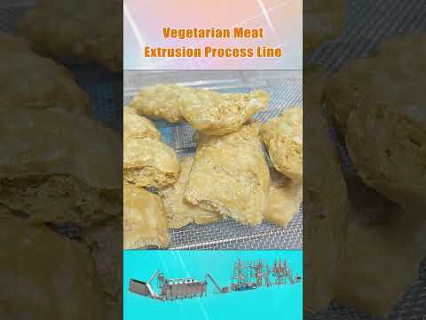, title : 'Vegetarian Soya Meat/Soya Nugget Food Process Line'