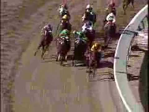 1993 Breeders' Cup Juvenile