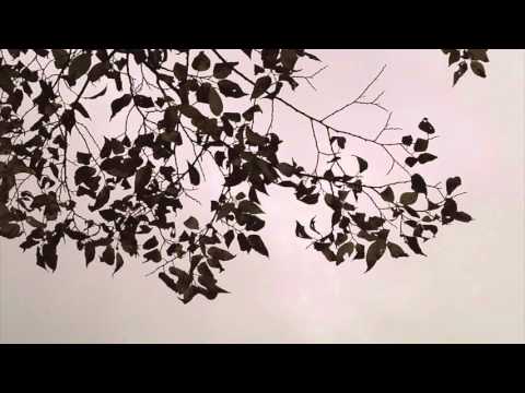 FABRICLIVE 60 - Brodinski