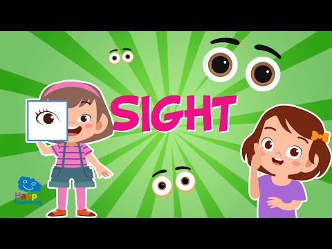 THE SENSE OF SIGHT  | Educational Videos for Kids