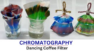 Chromatography | Dancing Coffee Filter