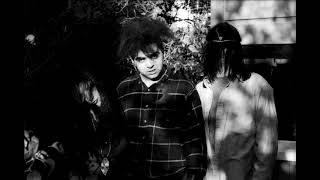 MELVINS - Live at 924 Gilman St. in Berkeley, CA (4/19/89) [FULL SET]