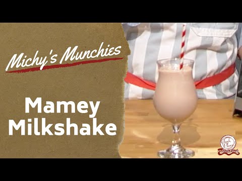 Mamey Milkshake Recipe | Michy's Munchies