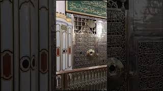 Download lagu #jiskeaanesemukammalhogayithizindagisong #food #youtubeshorts mp3 Download lagu #jiskeaanesemukammalhogayithizindagisong #food #youtubeshorts mp3