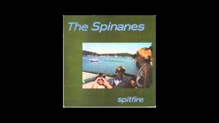 The Spinanes - Bad Karma (Crackerbash Cover)