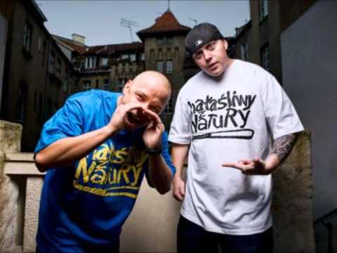 Shellerini & Słoń Reprezentant