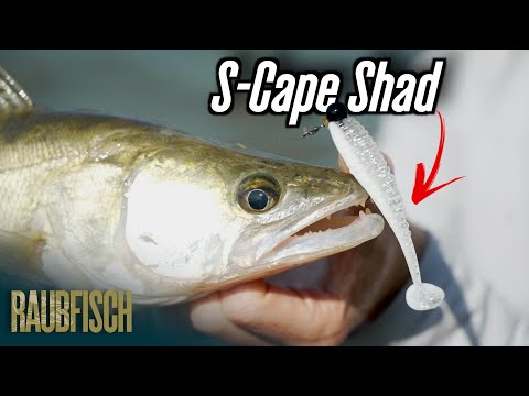 Shad Reins S Cape Shad 8.9cm Lightning Chartreuse CT12