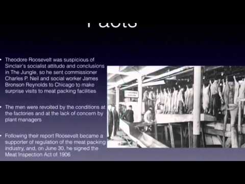 Meat Inspection Act Apush Definition