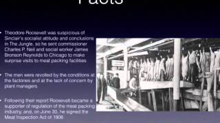 Meat inspection act and 19th amendment