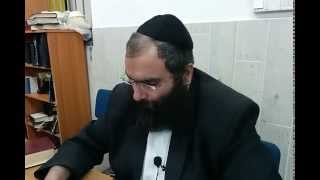 דעת הרבי מלובביץ' בעניין חיסוני ילדים