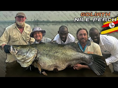 Döme Gábor - A Nílus királya