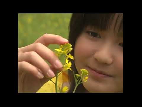 Meimon! Daisan Yakyuu-bu Seishun no Sagashimono Junko Kawada