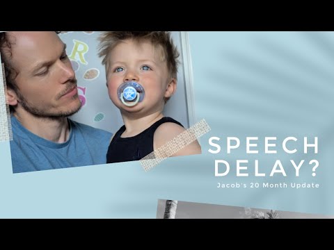 Toddler Update - 20 Months Old Speech Delay?