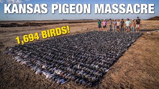 1,694 PIGEONS IN ONE HUNT!!! EPIC Pigeon Hunting Over Decoys!