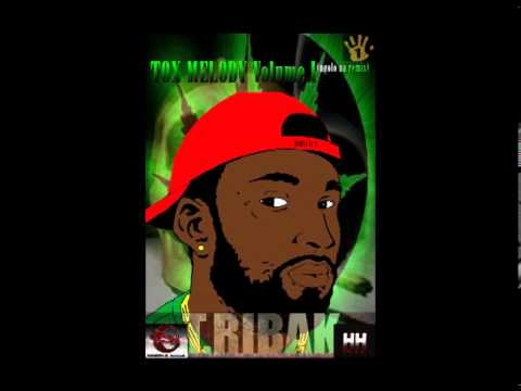 Tox Mélody Vol 1 - 15 - Say my name ( Zeus Million )