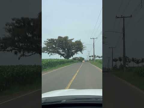 Comunidade de Sapiranga no interior de Meleiro/SC #agro #brazil #santacatarina #viagens #interior